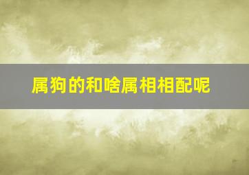 属狗的和啥属相相配呢