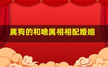 属狗的和啥属相相配婚姻