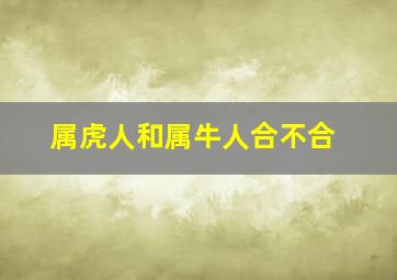 属虎人和属牛人合不合