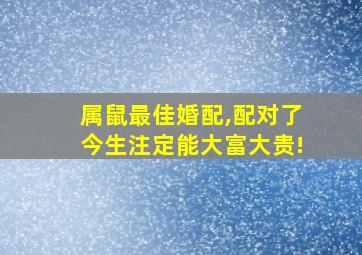 属鼠最佳婚配,配对了今生注定能大富大贵!