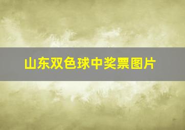 山东双色球中奖票图片