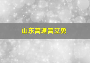 山东高速高立勇