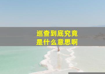 巡查到底究竟是什么意思啊