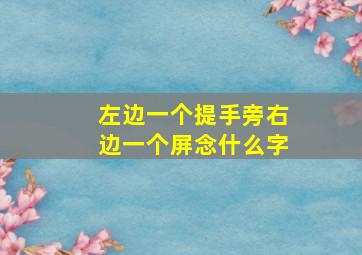 左边一个提手旁右边一个屏念什么字