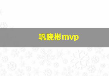 巩晓彬mvp