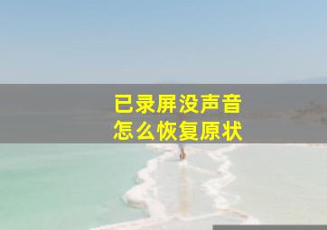 已录屏没声音怎么恢复原状