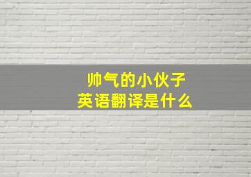 帅气的小伙子英语翻译是什么