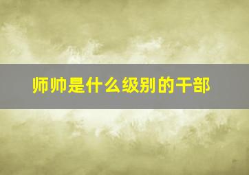 师帅是什么级别的干部