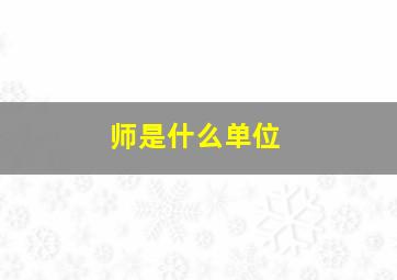 师是什么单位