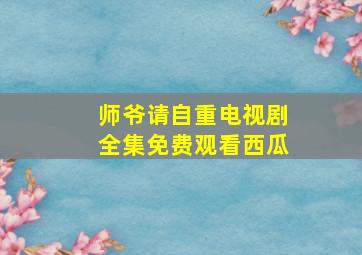 师爷请自重电视剧全集免费观看西瓜