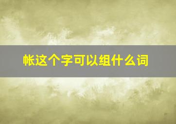 帐这个字可以组什么词