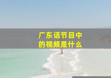 广东话节目中的视频是什么