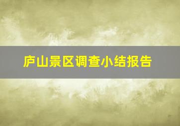 庐山景区调查小结报告