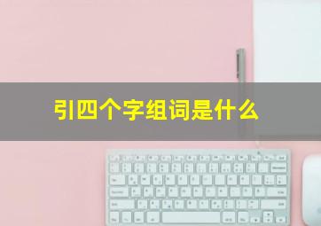 引四个字组词是什么