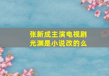 张新成主演电视剧光渊是小说改的么