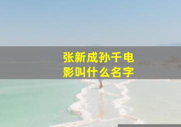 张新成孙千电影叫什么名字