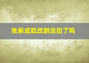 张新成耽改剧没拍了吗