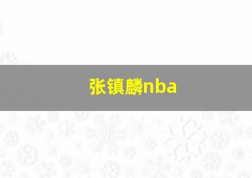 张镇麟nba