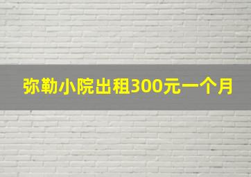 弥勒小院出租300元一个月