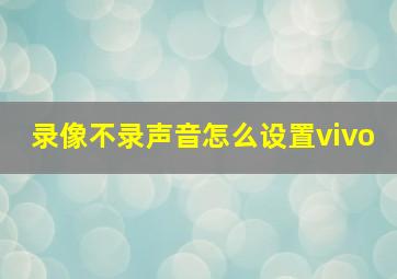 录像不录声音怎么设置vivo