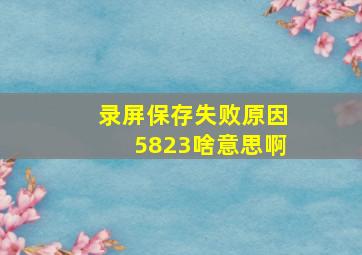 录屏保存失败原因5823啥意思啊