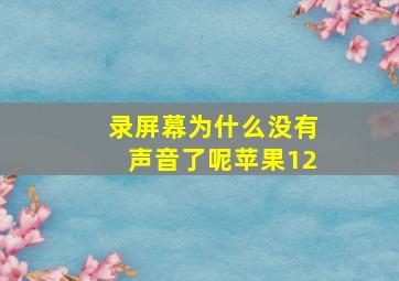 录屏幕为什么没有声音了呢苹果12