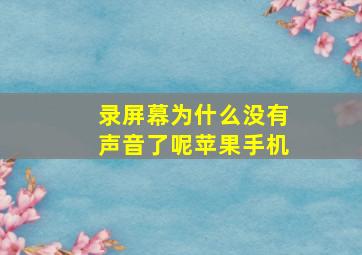 录屏幕为什么没有声音了呢苹果手机