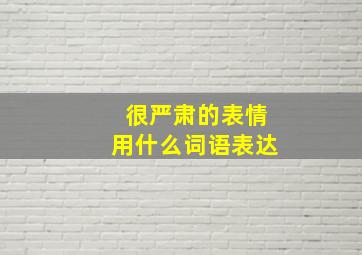 很严肃的表情用什么词语表达