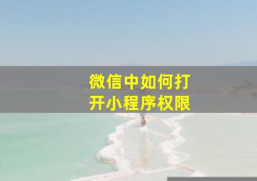 微信中如何打开小程序权限