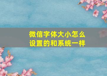 微信字体大小怎么设置的和系统一样