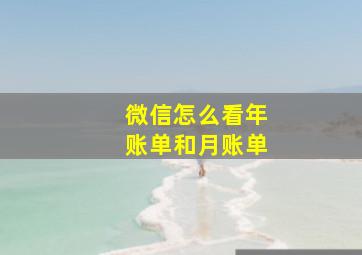 微信怎么看年账单和月账单