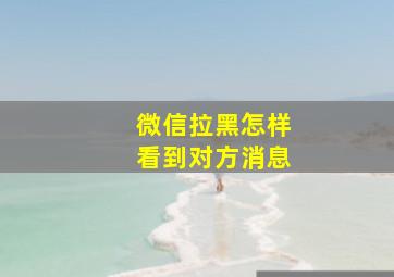 微信拉黑怎样看到对方消息