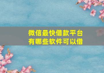 微信最快借款平台有哪些软件可以借