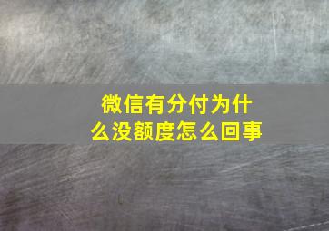 微信有分付为什么没额度怎么回事