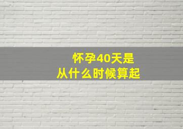 怀孕40天是从什么时候算起