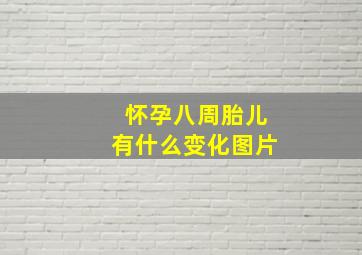 怀孕八周胎儿有什么变化图片