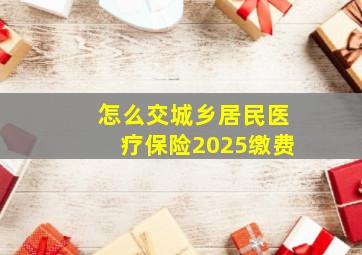 怎么交城乡居民医疗保险2025缴费