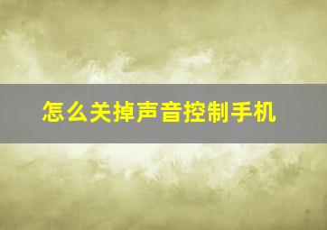 怎么关掉声音控制手机