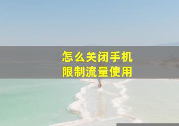 怎么关闭手机限制流量使用