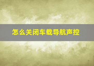 怎么关闭车载导航声控