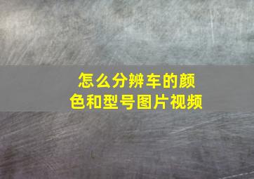 怎么分辨车的颜色和型号图片视频