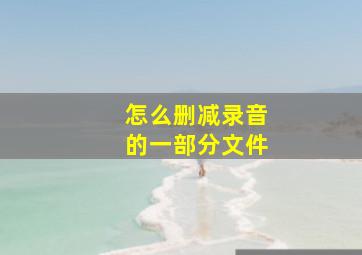 怎么删减录音的一部分文件