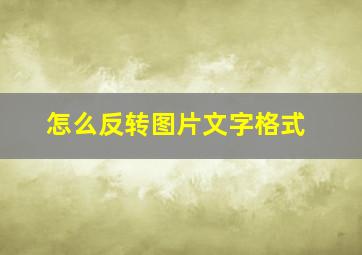 怎么反转图片文字格式