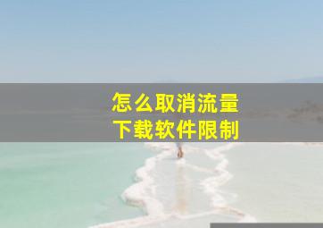 怎么取消流量下载软件限制