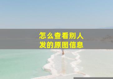 怎么查看别人发的原图信息