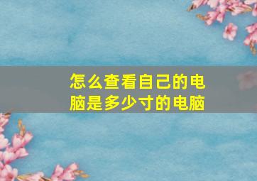 怎么查看自己的电脑是多少寸的电脑