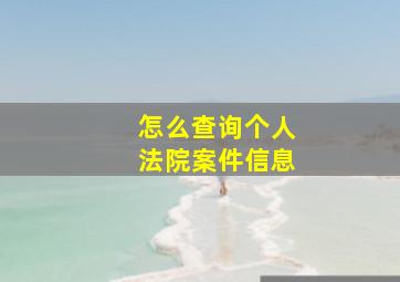 怎么查询个人法院案件信息