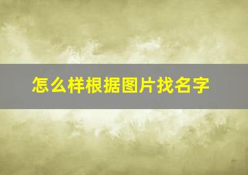 怎么样根据图片找名字