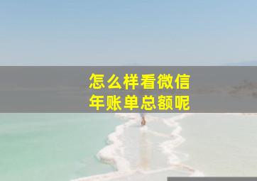 怎么样看微信年账单总额呢