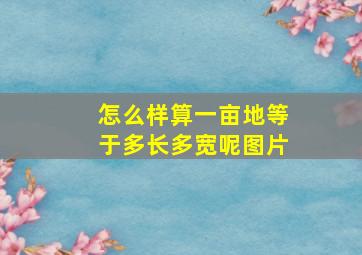 怎么样算一亩地等于多长多宽呢图片